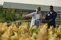 Insee Analyse : Économie sociale et solidaire, un ancrage territorial marqué, avec 11,8 % de l’emploi ligérien