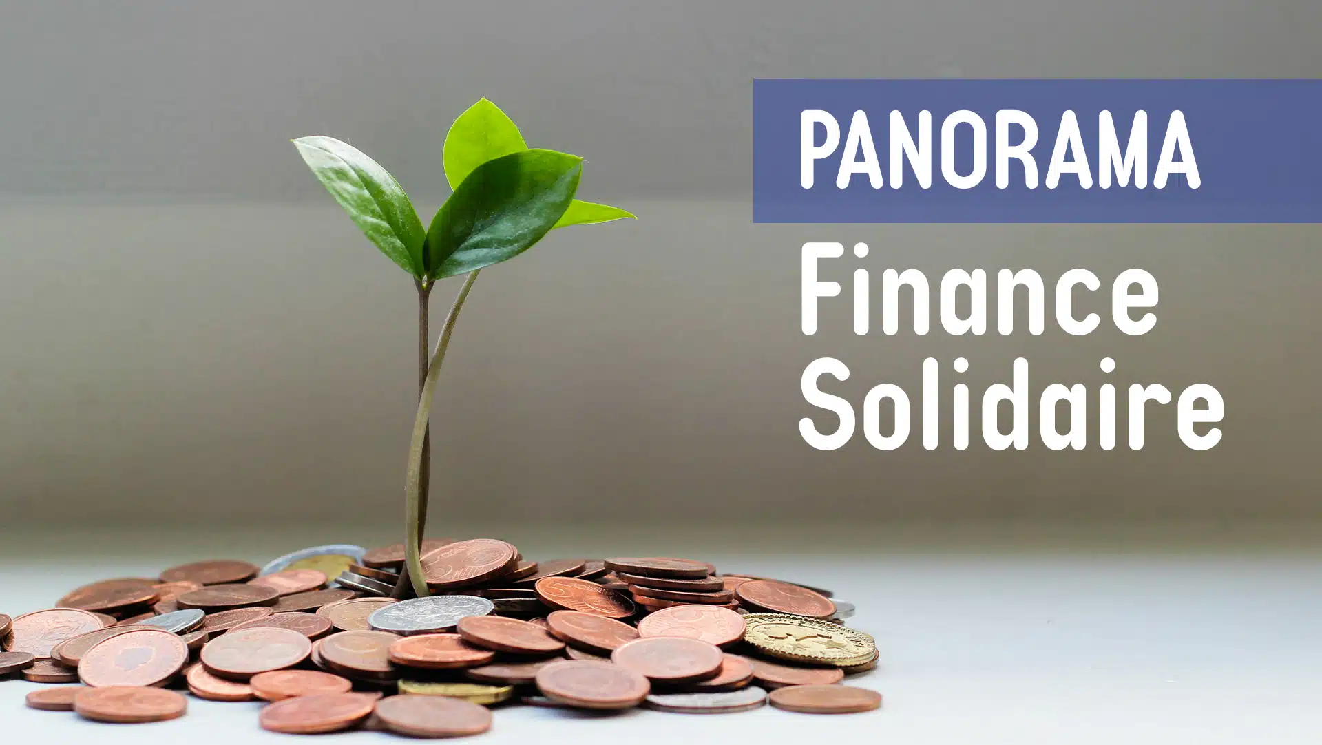 Donner du sens à son argent avec l’épargne citoyenne et les monnaies locales