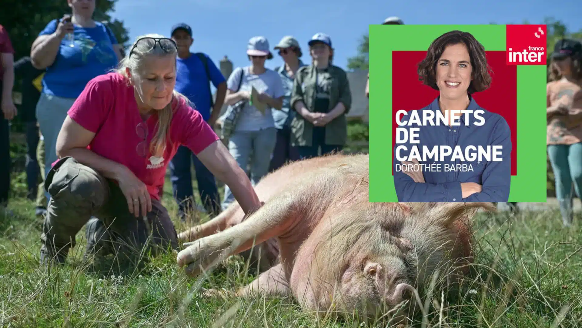 La Sarthe à l’honneur sur France Inter dans Carnets de campagne