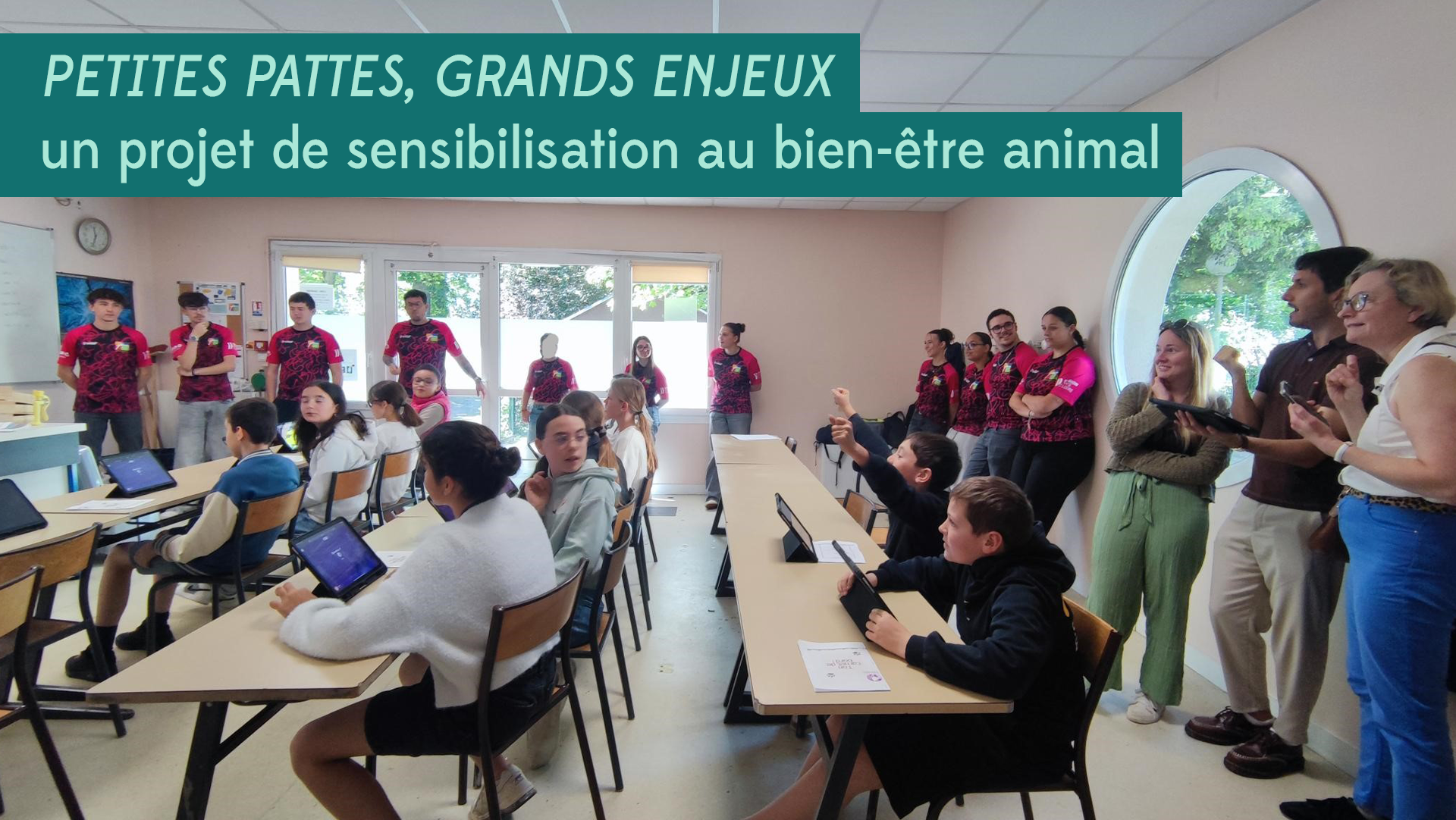 Des lycéens ambassadeurs du bien-être animal auprès des collégiens de Ligné